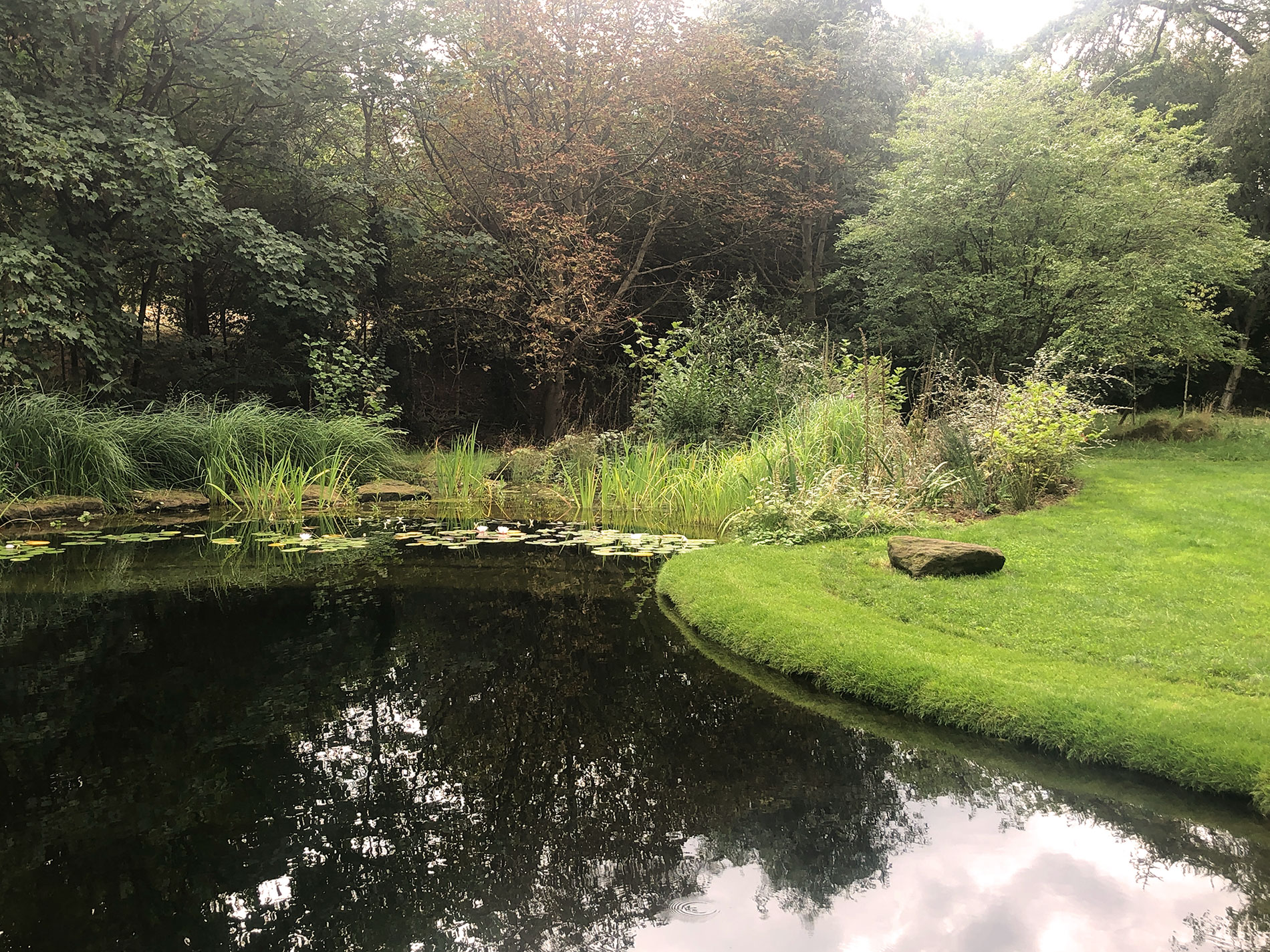Putting a pond in your garden is one of the best things you can do for the environment, and a A swimming pond like this brings a whole new dimension to a garden